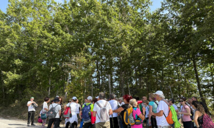 Camminata sportiva ad ACCUMOLI: un percorso tra natura e storia
