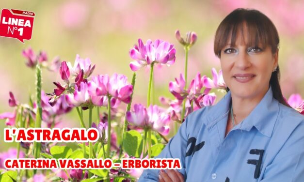 L’erborista CATERINA VASSALLO illustra le proprietà dell’astragalo a RADIO LINEA