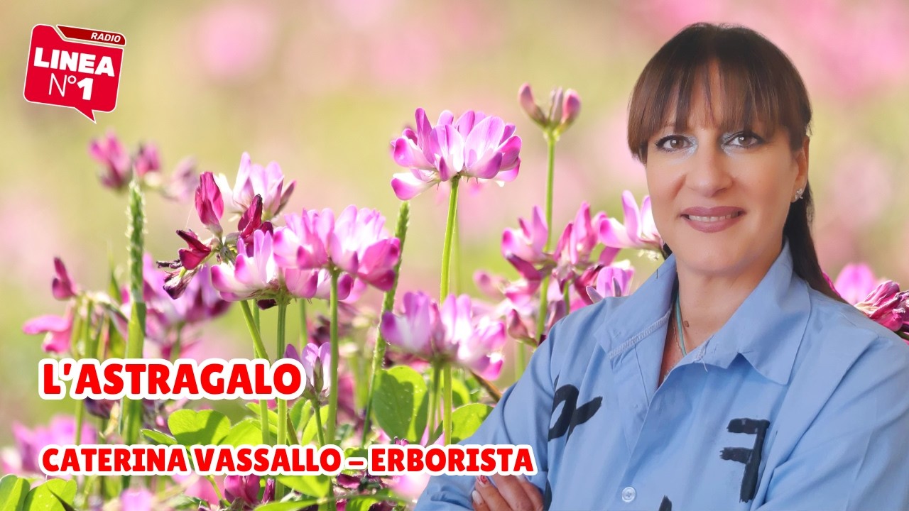 L’erborista CATERINA VASSALLO illustra le proprietà dell’astragalo a RADIO LINEA L'erborista CATERINA VASSALLO illustra le proprietà dell'astragalo a RADIO LINEA