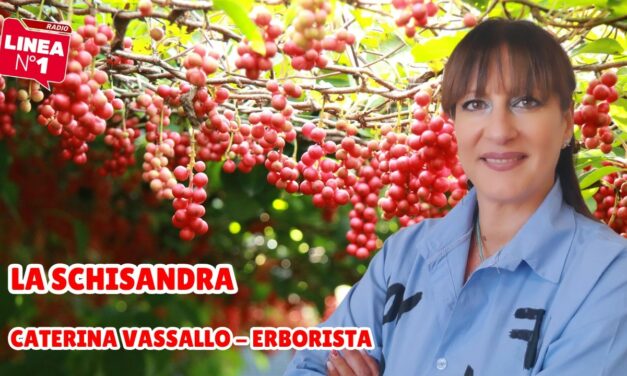 Tutte le proprietà della SCHISANDRA con l’erborista CATERINA VASSALLO