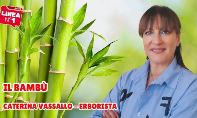 CATERINA VASSALLO e le straordinarie proprietà del bambù per la salute e la bellezza