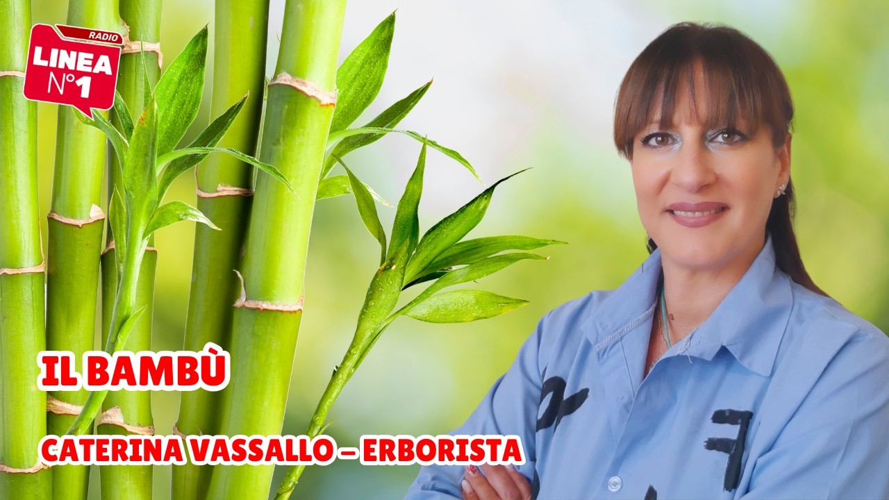 CATERINA VASSALLO e le straordinarie proprietà del bambù per la salute e la bellezza