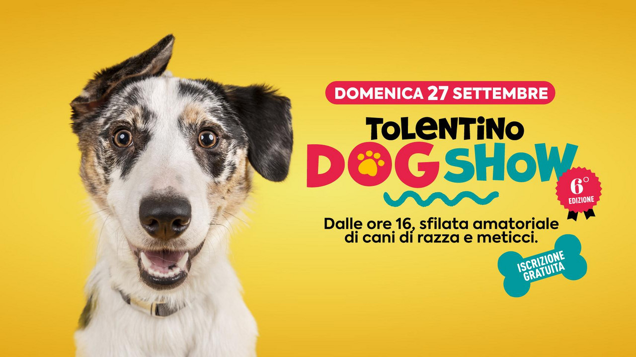 'Dog Show', sesta edizione al TOLENTINO Retail Park
