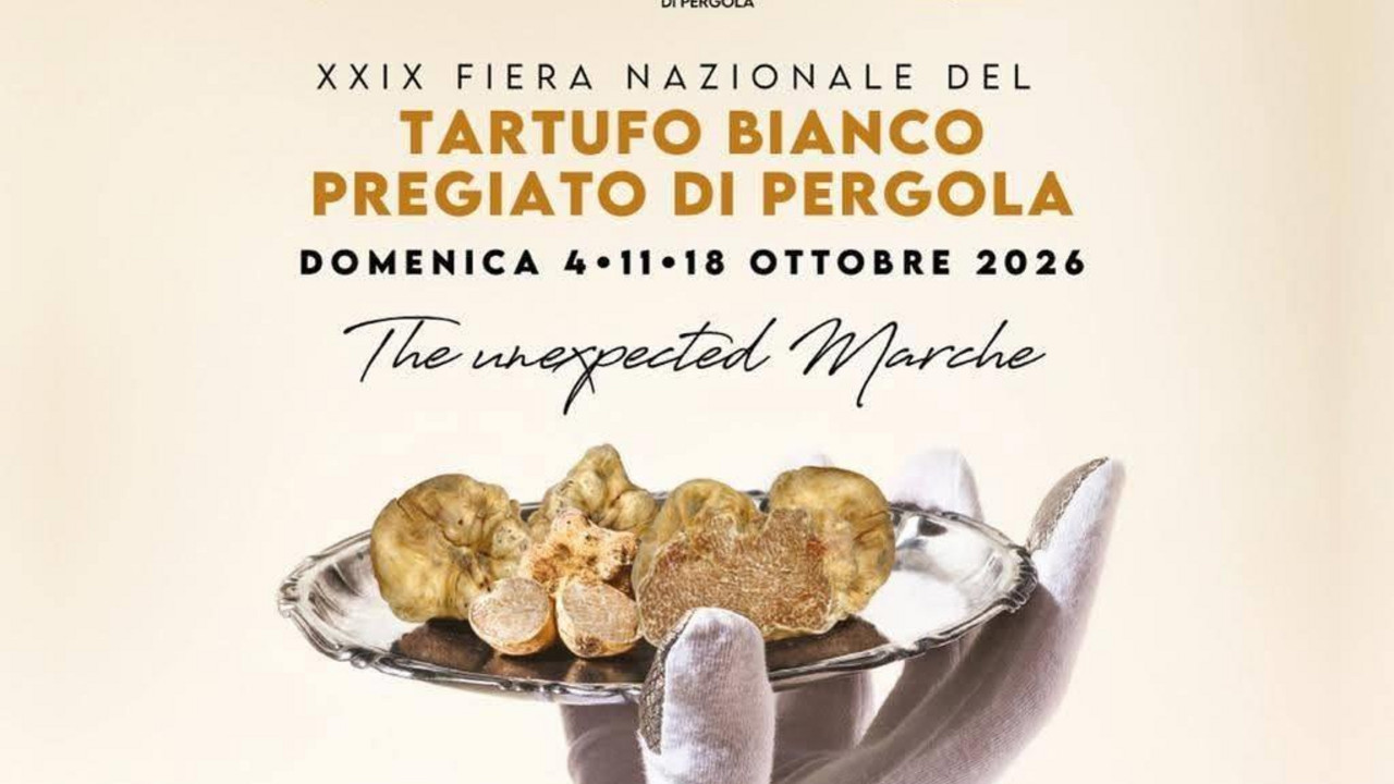 La FIERA INTERNAZIONALE del TARTUFO BIANCO di PERGOLA si presenta a PESARO La FIERA INTERNAZIONALE del TARTUFO BIANCO di PERGOLA si presenta a PESARO