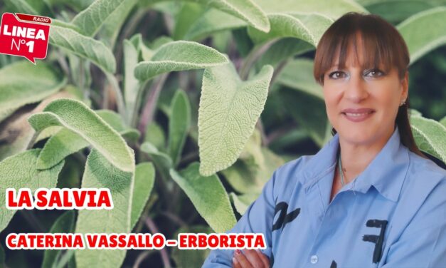 Tutte le proprietà della SALVIA con l’erborista CATERINA VASSALLO