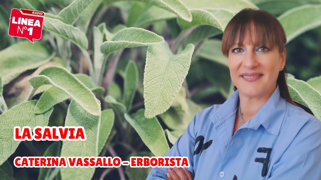 Tutte le proprietà della SALVIA con l’erborista CATERINA VASSALLO Tutte le proprietà della SALVIA con l'erborista CATERINA VASSALLO