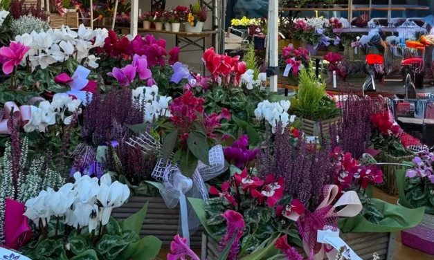 La ‘MOSTRA MERCATO DEI FIORI’ torna a PESARO in PIAZZA DEL POPOLO