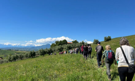 Camminata sportiva e naturalistica a OFFIDA il 24 OTTOBRE 2026