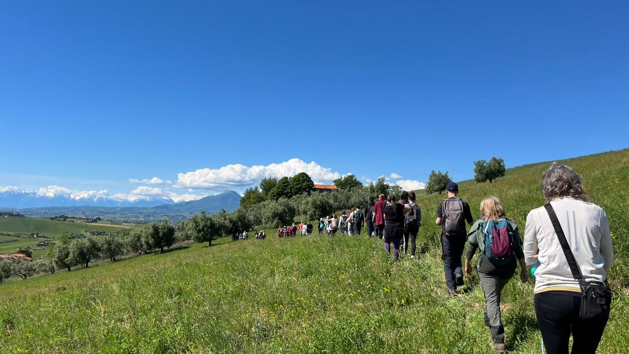 Camminata sportiva e naturalistica a OFFIDA il 24 OTTOBRE 2026 Camminata sportiva e naturalistica a OFFIDA il 24 OTTOBRE 2026