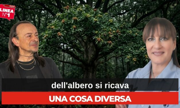 CATERINA VASSALLO a RADIOLINEAN1: le proprietà benefiche del castagno