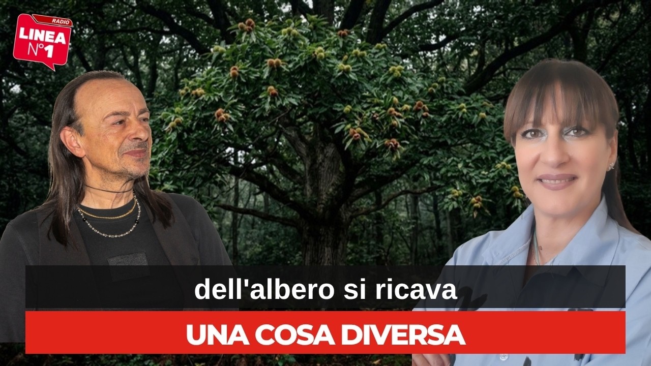 CATERINA VASSALLO a RADIOLINEAN1: le proprietà benefiche del castagno CATERINA VASSALLO a RADIOLINEAN1: le proprietà benefiche del castagno