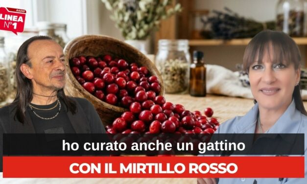 CATERINA VASSALLO a RADIO LINEA N.1: le proprietà e i benefici del mirtillo rosso