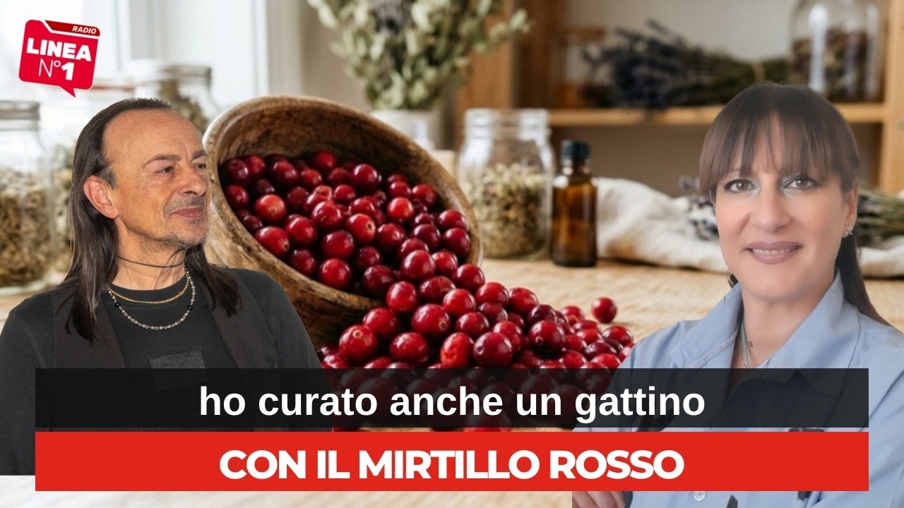 CATERINA VASSALLO a RADIO LINEA N.1: le proprietà e i benefici del mirtillo rosso CATERINA VASSALLO a RADIO LINEA N.1: le proprietà e i benefici del mirtillo rosso