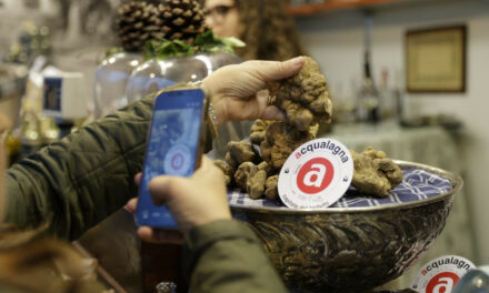 Il secondo weekend della 61ª FIERA INTERNAZIONALE DEL TARTUFO BIANCO DI ACQUALAGNA
