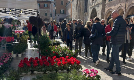 ‘La Città in Fiore’ torna ad ASCOLI PICENO nel weekend