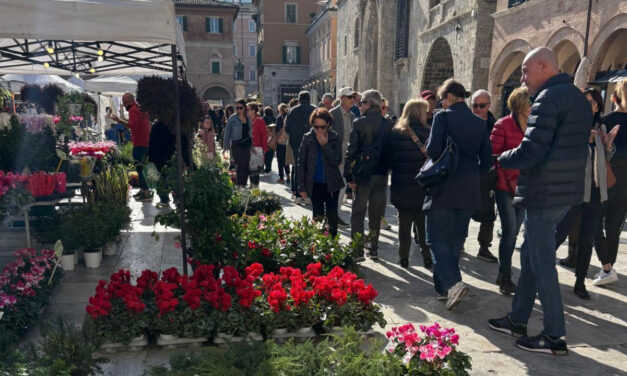 ‘La Città in Fiore’ torna ad ASCOLI PICENO nel weekend