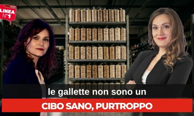 Gallette alimentari: sono davvero sane? L’analisi di EDY VIRGILI