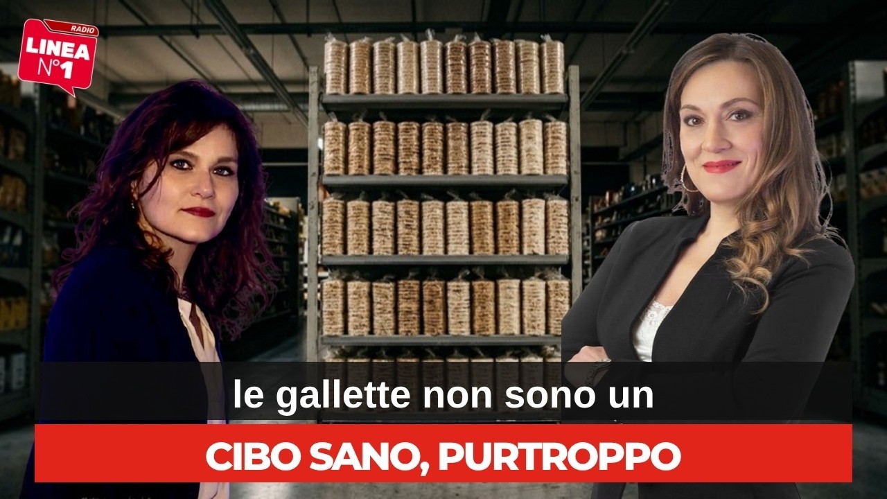 Gallette alimentari: sono davvero sane? L'analisi di EDY VIRGILI
