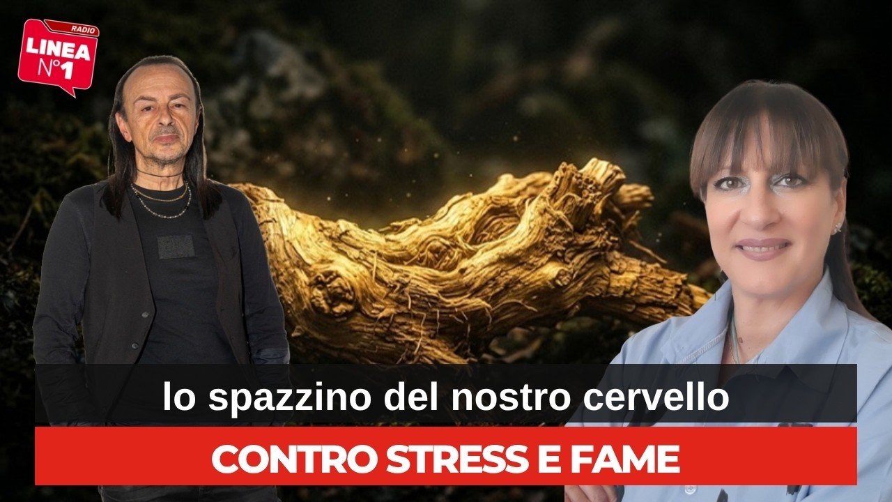 Rhodiola rosea, CATERINA VASSALLO spiega i benefici della radice d’oro in radio Rhodiola rosea, CATERINA VASSALLO spiega i benefici della radice d'oro in radio
